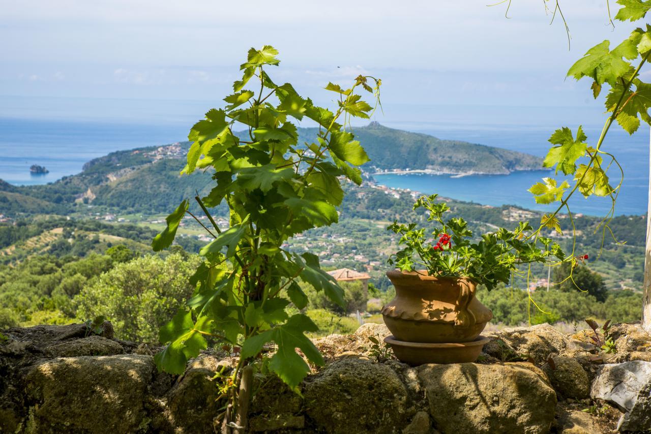 Il Castello Di San Sergio 첸톨라 외부 사진